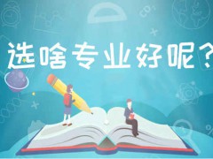 牟平区职业中等专业学校有什么专业