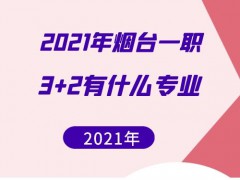 2021年烟台一职3+2有什么专业