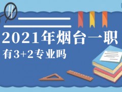 2021年烟台一职有3+2专业吗