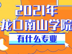 2021年龙口南山学院有什么专业