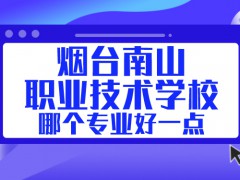 烟台南山职业技术学校哪个专业好一点