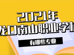 2021年龙口南山职业学校有哪些专业