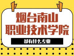 烟台南山职业技术学院都有什么专业