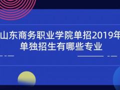 山东商务职业学院单招2019年单独招生有哪些专业-山东单招网