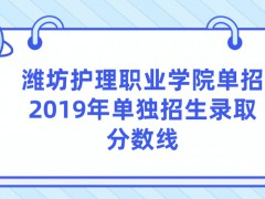 潍坊护理职业学院单招2019年单独招生录取分数线-山东单招网