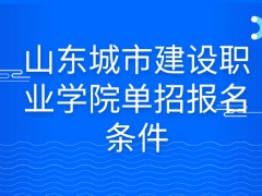 山东城市建设职业学院单招报名条件-山东单招网