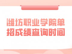 潍坊职业学院单招成绩查询时间-山东单招网