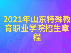 2021年山东特殊教育职业学院招生章程-山东单招网