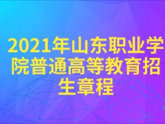 2021年山东职业学院普通高等教育招生章程-山东单招网