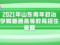 2021年山东青年政治学院普通高等教育招生章程-山东单招网