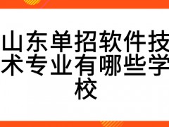 山东单招软件技术专业有哪些学校-山东单招网