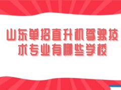 山东单招直升机驾驶技术专业有哪些学校-山东单招网