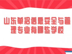 山东单招信息安全与管理专业有哪些学校-山东单招网