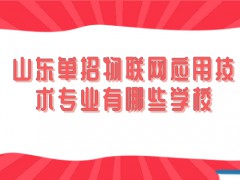 山东单招物联网应用技术专业有哪些学校-山东单招网