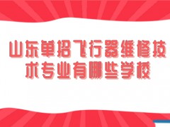 山东单招飞行器维修技术专业有哪些学校-山东单招网