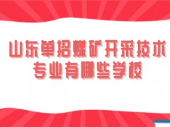 山东单招煤矿开采技术专业有哪些学校-山东单招网