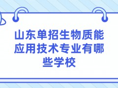 山东单招生物质能应用技术专业有哪些学校-山东单招网