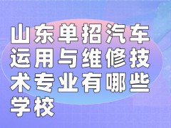 山东单招汽车运用与维修技术专业有哪些学校-山东单招网