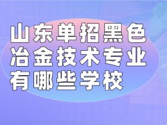 山东单招黑色冶金技术专业有哪些学校-山东单招网