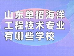 山东单招海洋工程技术专业有哪些学校-山东单招网