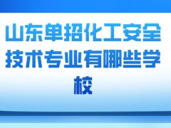 山东单招化工安全技术专业有哪些学校-山东单招网