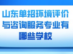 山东单招环境评价与咨询服务专业有哪些学校-山东单招网