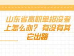 ​山东省高职单招没考上怎么办？ 有没有其它出路?-山东单招网