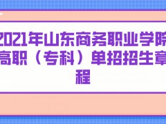 2021年山东商务职业学院高职（专科）单招招生章程