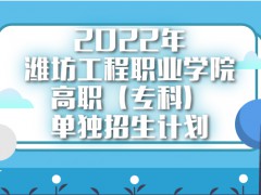 2022年潍坊工程职业学院高职（专科）单独招生计划