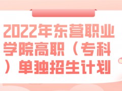 2022年东营职业学院高职（专科）单独招生计划