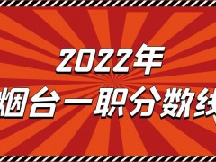 2022年烟台一职分数线