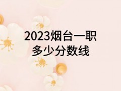 2023烟台一职多少分数线