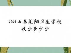 2023山东莱阳卫生学校收分多少分