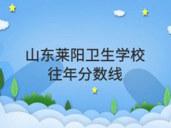 山东莱阳卫生学校往年分数线