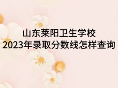 山东莱阳卫生学校2023年录取分数线怎样查询