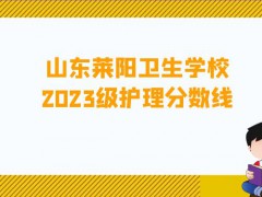 山东莱阳卫生学校2023级护理分数线