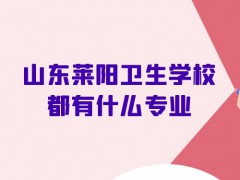 山东莱阳卫生学校都有什么专业