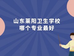 山东莱阳卫生学校哪个专业最好