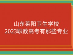 山东莱阳卫生学校2023职教高考有那些专业