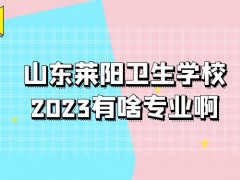 山东莱阳卫生学校2023有啥专业啊