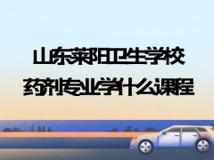 山东莱阳卫生学校药剂专业学什么课程