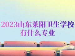 2023山东莱阳卫生学校有什么专业