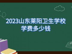 2023山东莱阳卫生学校学费多少钱