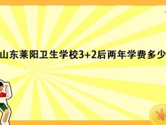 山东莱阳卫生学校32后两年学费多少