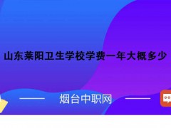 山东莱阳卫生学校学费一年大概多少