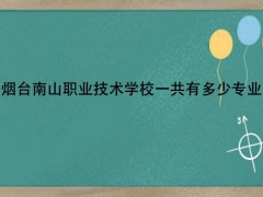 烟台南山职业技术学校一共有多少专业