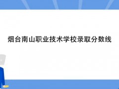 烟台南山职业技术学校录取分数线