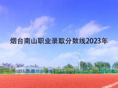 烟台南山职业录取分数线2023年