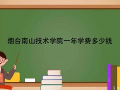 烟台南山技术学院一年学费多少钱