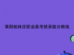 莱阳柏林庄职业高考班录取分数线